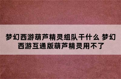 梦幻西游葫芦精灵组队干什么 梦幻西游互通版葫芦精灵用不了